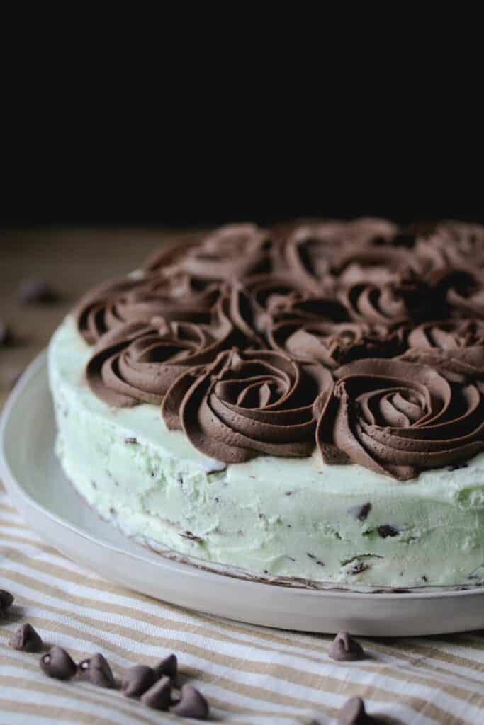 Mint chocolate chip ice cream cake covered in chocolate buttercream rosettes