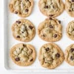 A speckled cookie sheet with baked chocolate chip cookies on it.