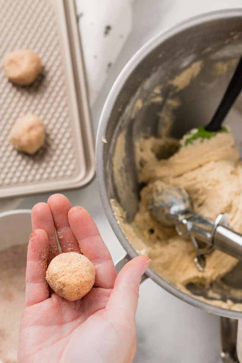A ball of dough rolled in cinnamon sugar.