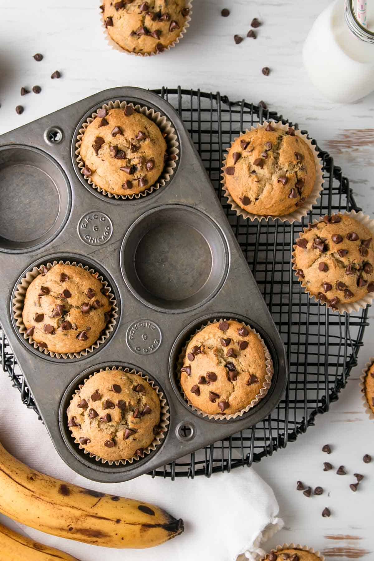 Muffins in an old muffin tin next to bananas and chocolate chips.
