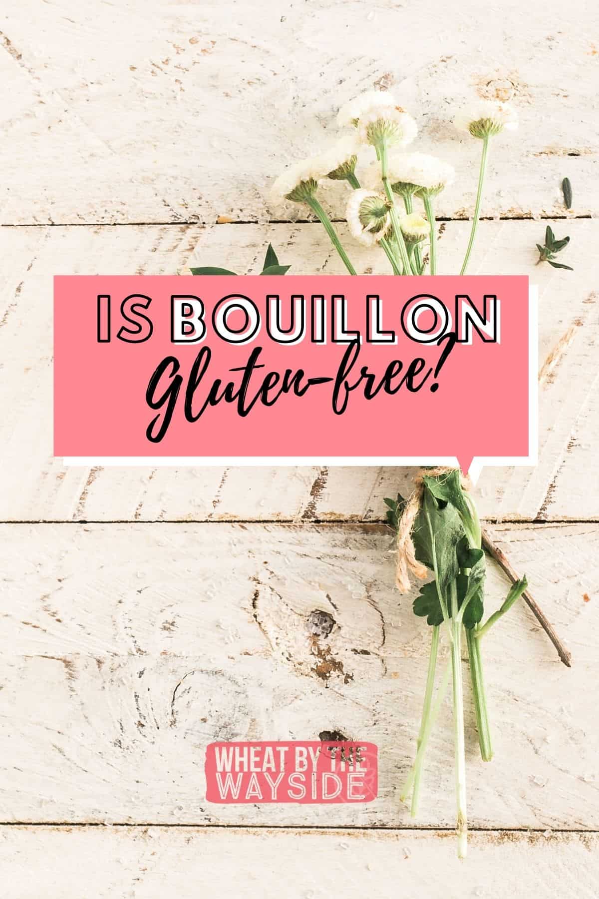 Gluten-Free Bouillon - Testing for Hidden Gluten