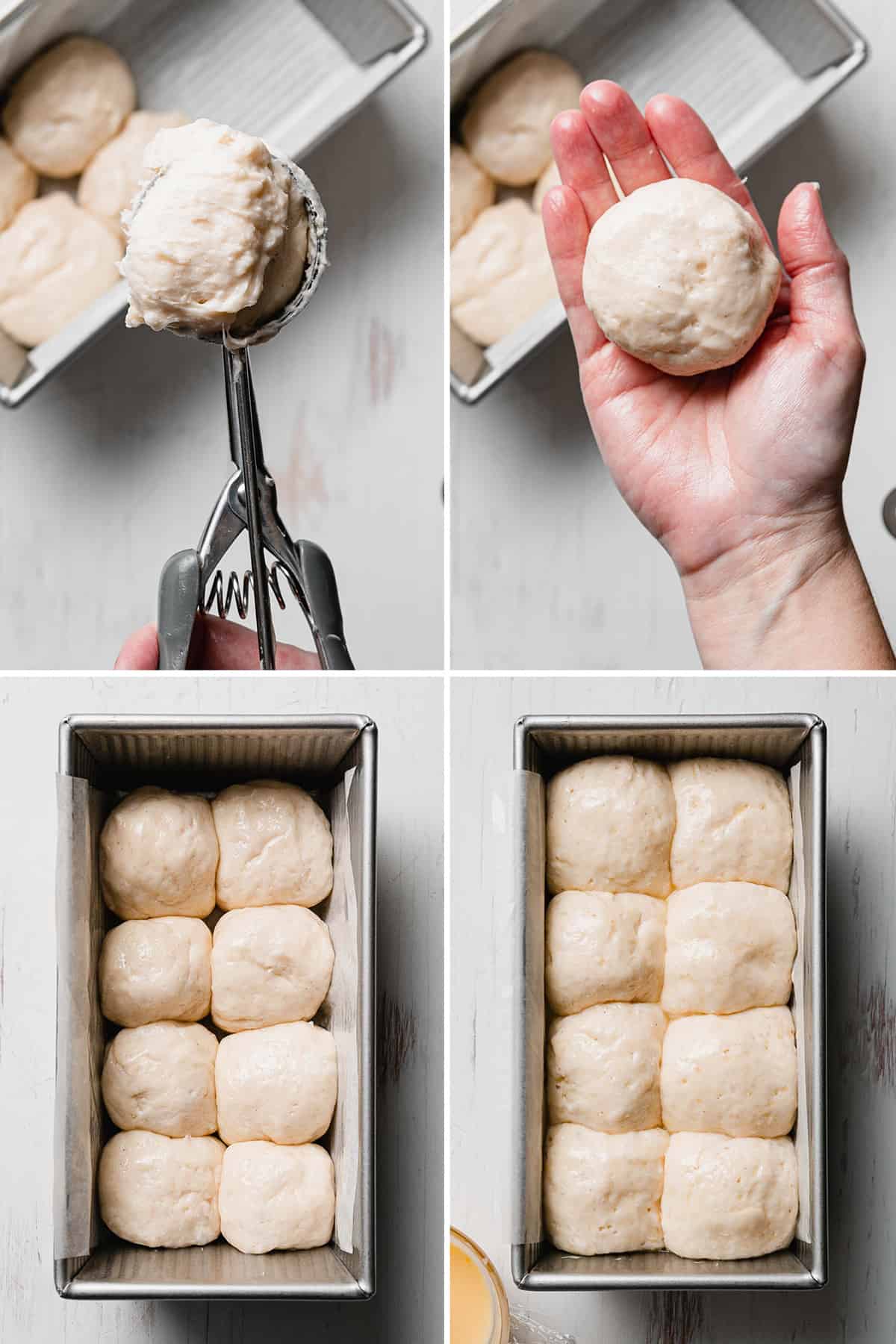 Portioning the dough, rolling it into a ball, dough in a loaf pan.