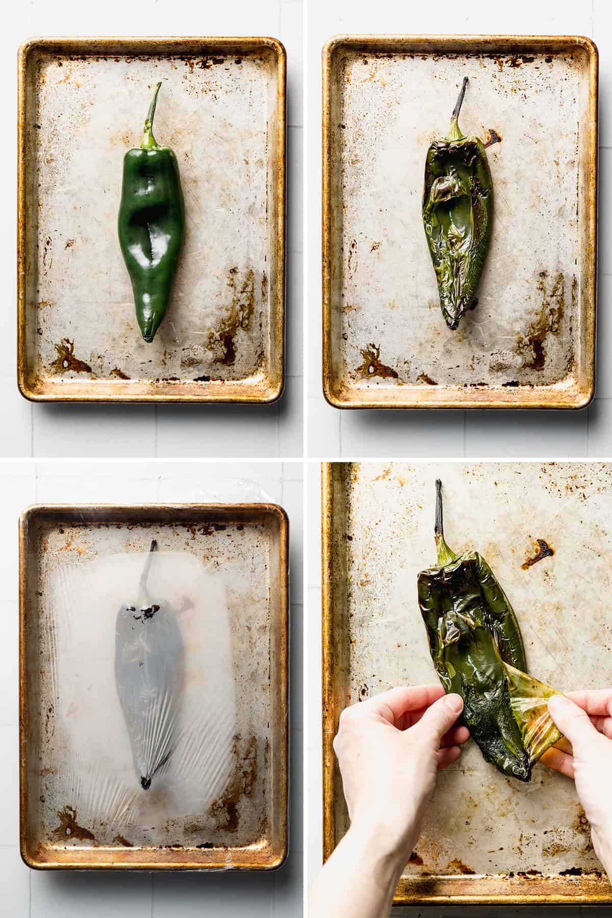 Poblano pepper on sheet pan is charred and roasted, skin pulled from the pepper.