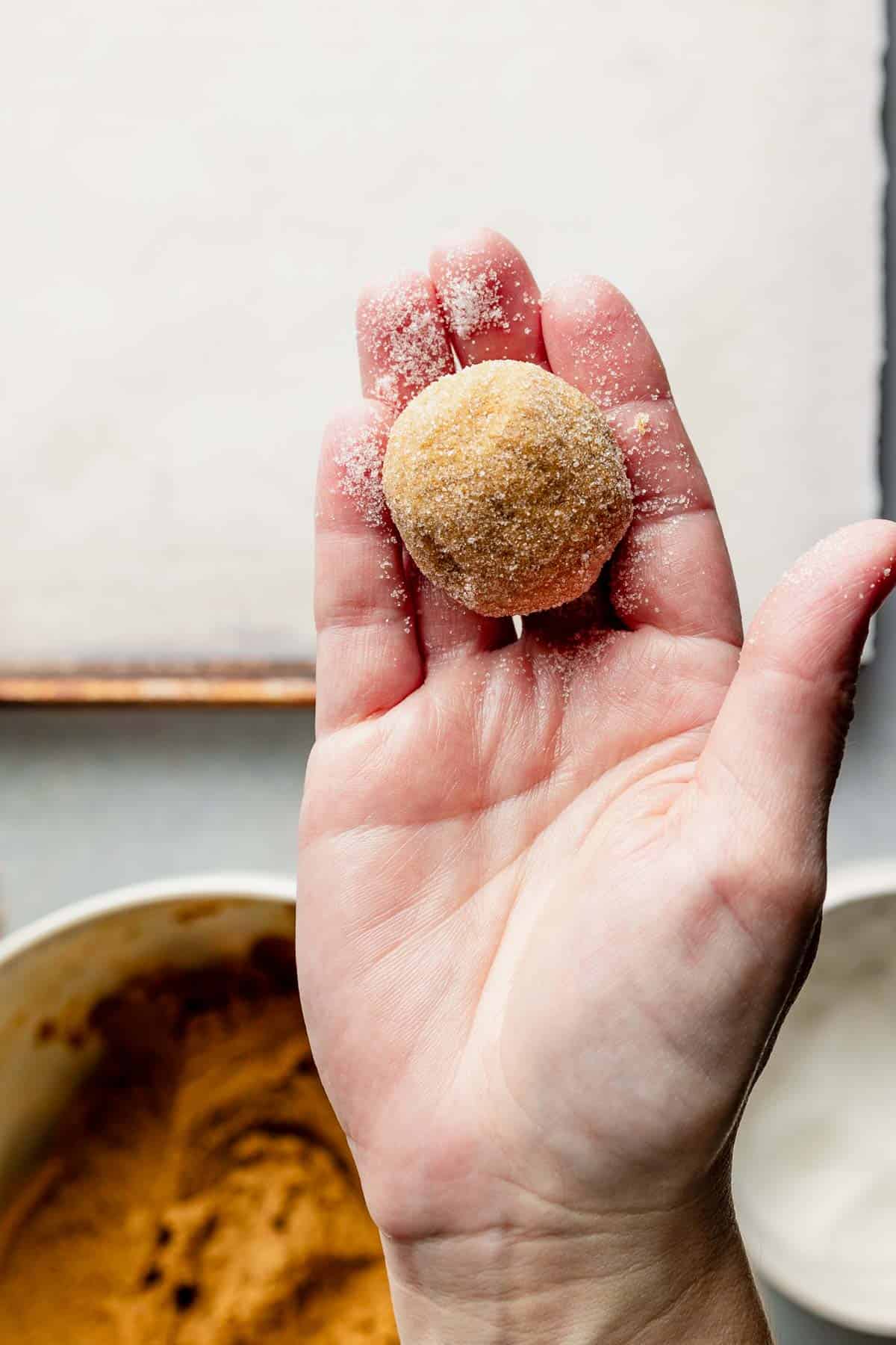 Hand holding ball of cookie dough rolled in sugar. 