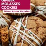 Gluten Free Ginger Molasses Cookie adorned with white chocolate and red and green sprinkles.