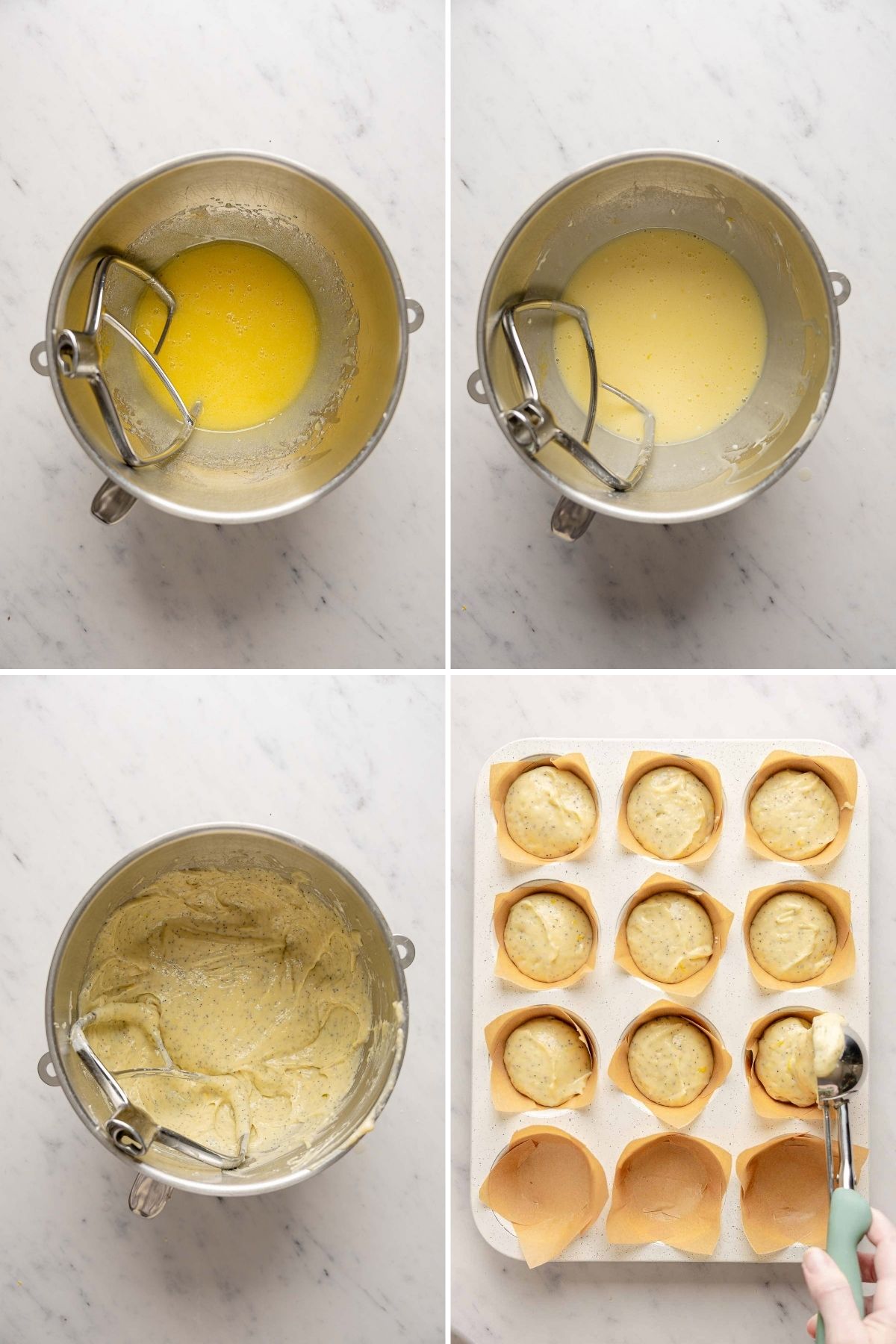 Mixing wet ingredients, then combined batter with poppy seeds in stand mixer bowl, scooping muffin batter into lined tin cups using a cookie scoop.